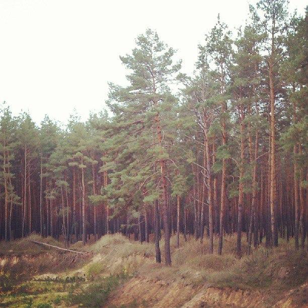 Тернова з panoramio.com - Тернова