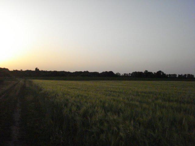 Маяківка з panoramio.com - Маяковка