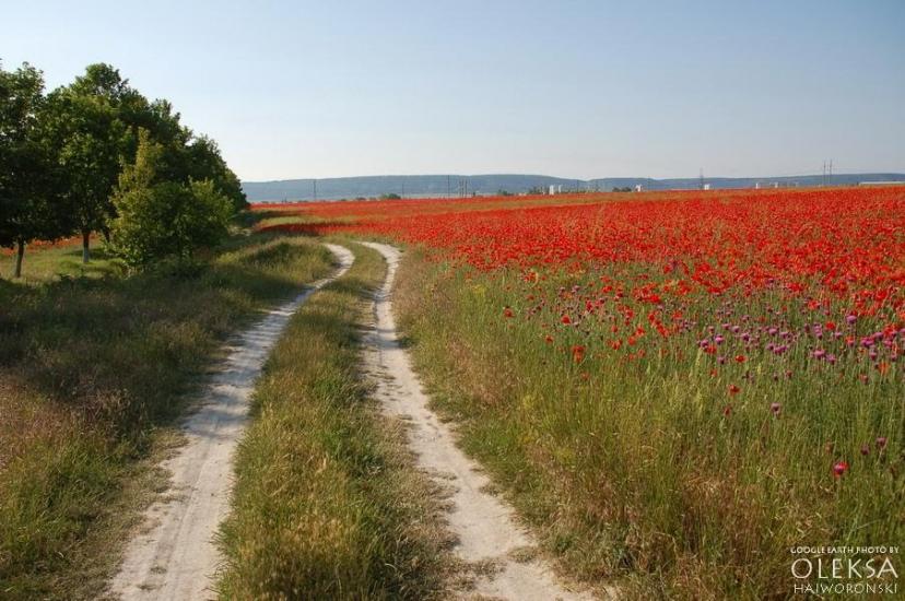 Передущельне з panoramio.com - Предущельное