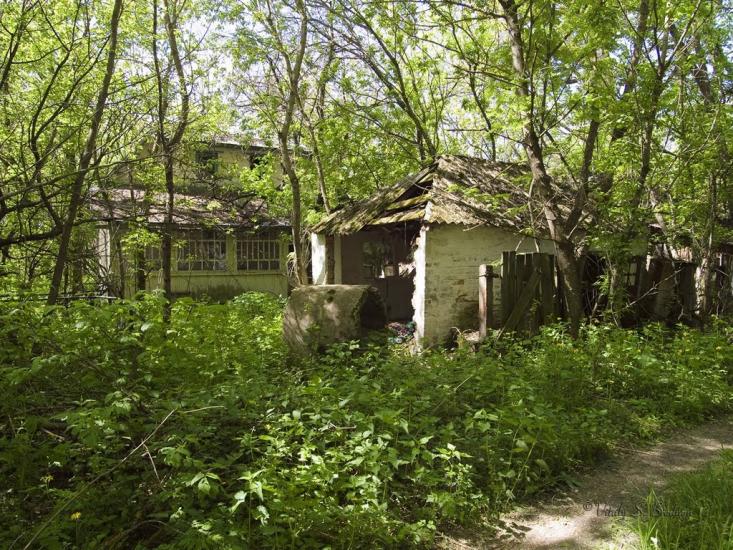 Дитятки з panoramio.com - Дитятки