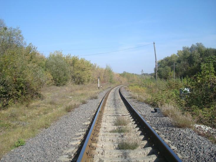 Кутківці з panoramio.com - Кутковцы