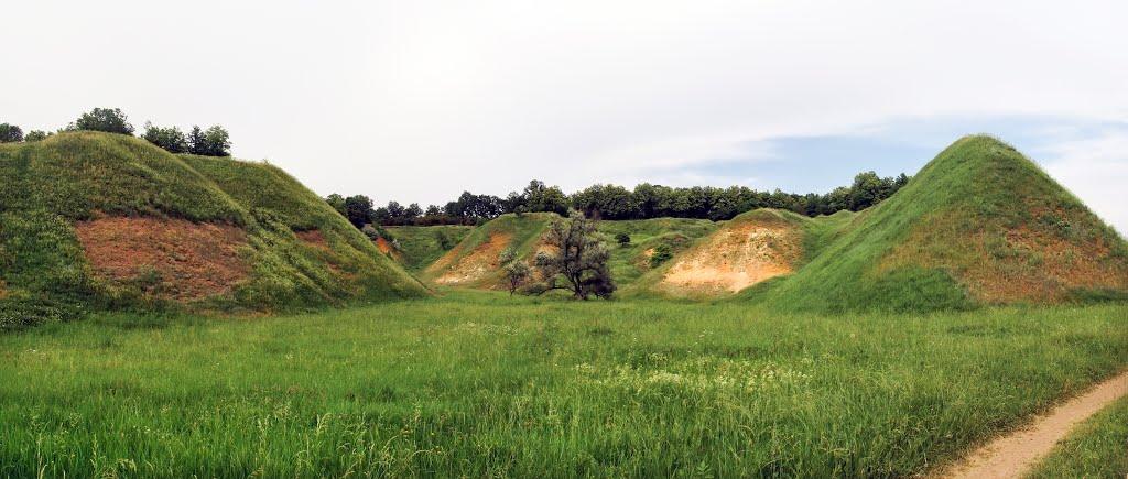 Вільшани з panoramio.com - Ольшаны