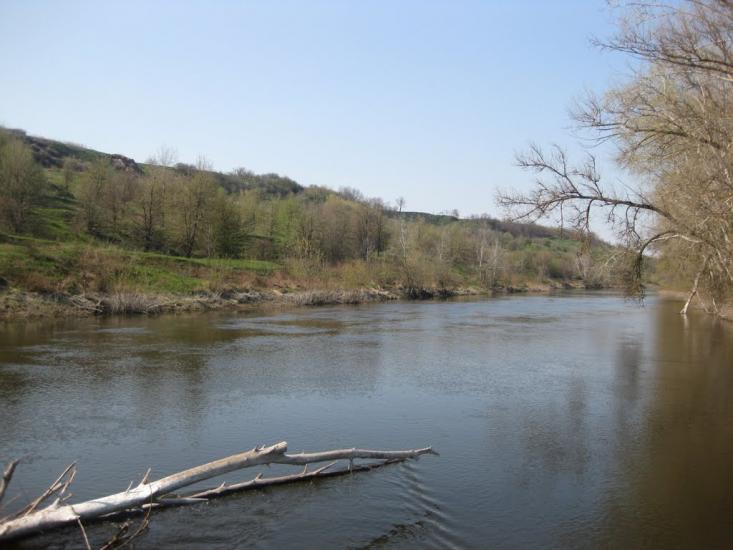 Плавні з panoramio.com - Плавни