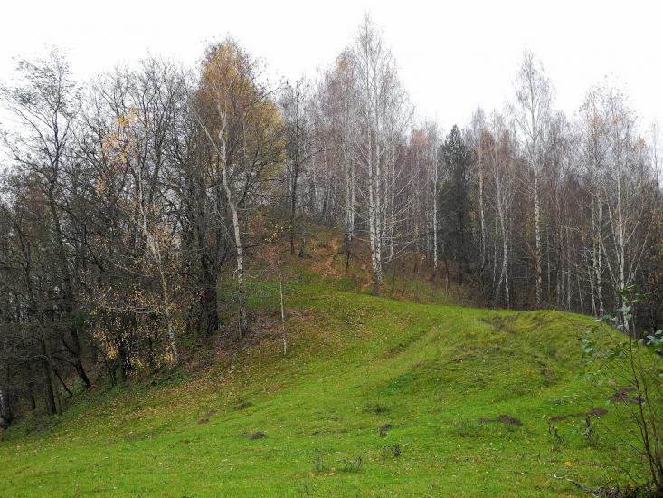 Радичів з panoramio.com - Радичев