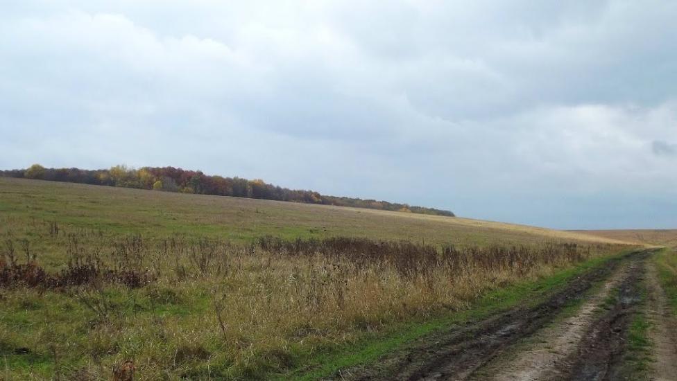 Лаврів з panoramio.com - Лавров