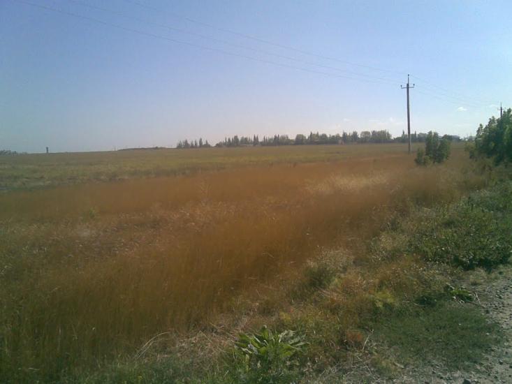 Орлівка з panoramio.com - Орловка