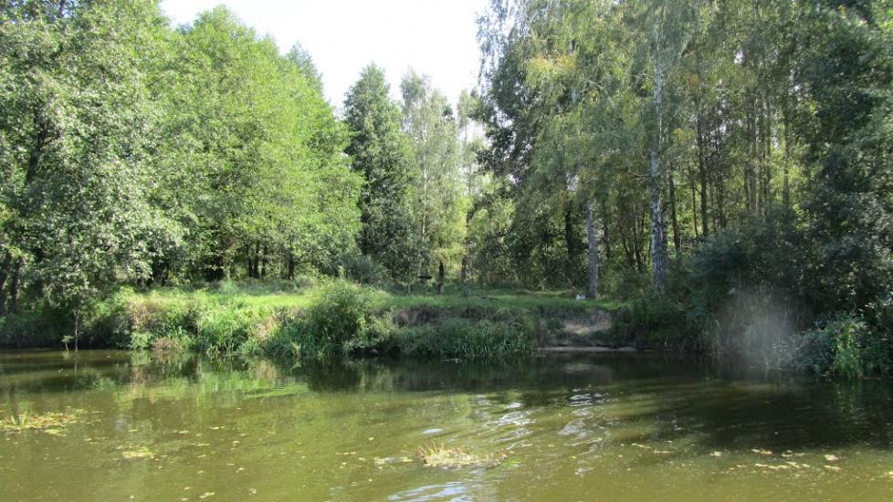 Прохорів з panoramio.com - Прохоров