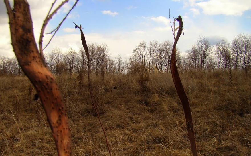 Високогірне з panoramio.com - Высокогорное
