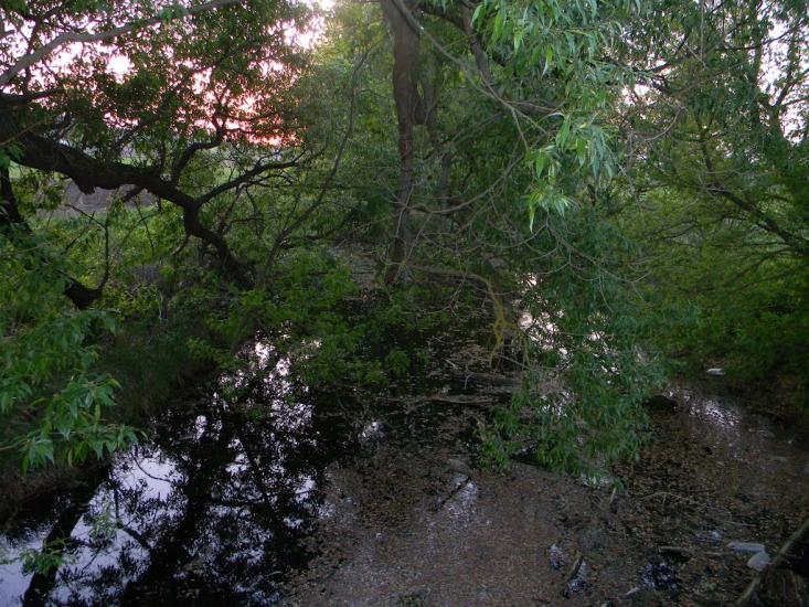 Білозір'я з panoramio.com - Белозерье