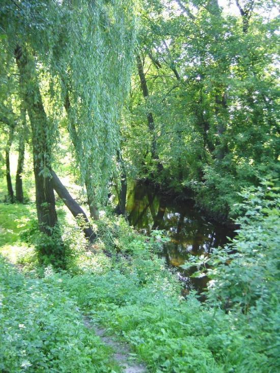 Острів з panoramio.com - Острів