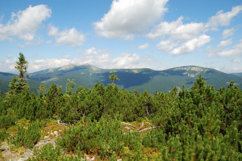 Згари з panoramio.com - Згари