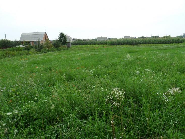 Вапнярка з panoramio.com - Вапнярка