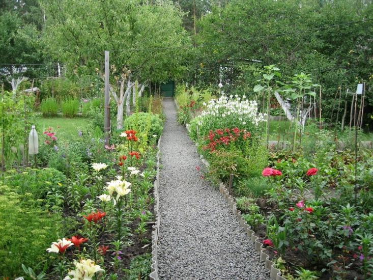 Пороскотень з panoramio.com - Пороскотень