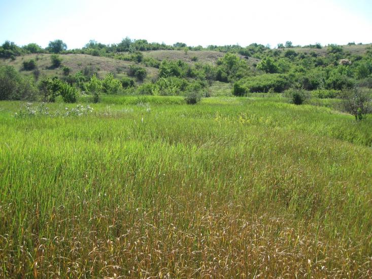 Мигія з panoramio.com - Mygiya