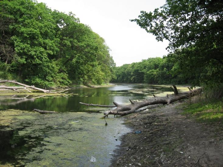 Сокільники з panoramio.com - Сокільники