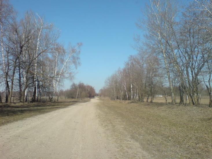 Нестерівці з panoramio.com - Нестерівці