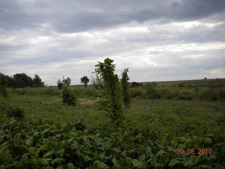 Лідихів з panoramio.com - Ледыхов