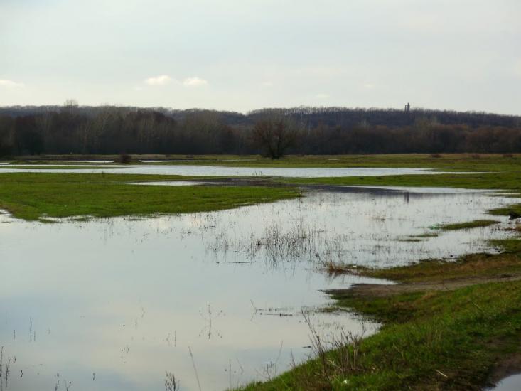 Санжари з panoramio.com - Sanzhary