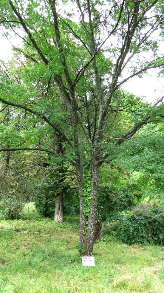 Краснокутськ з panoramio.com - Краснокутск