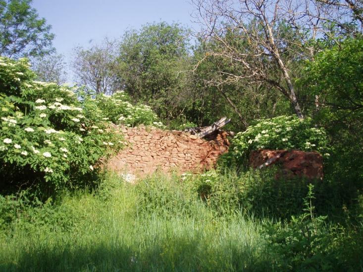 Краснолісся з panoramio.com - Краснолісся
