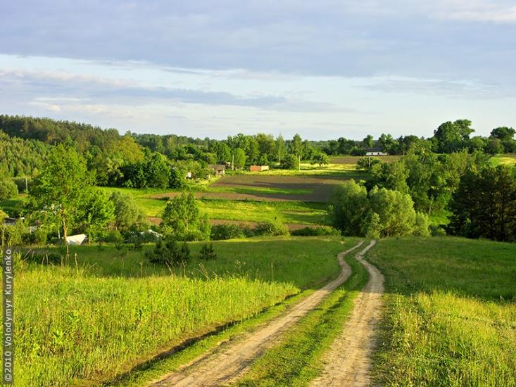 Буйвалове з panoramio.com - Буйвалове