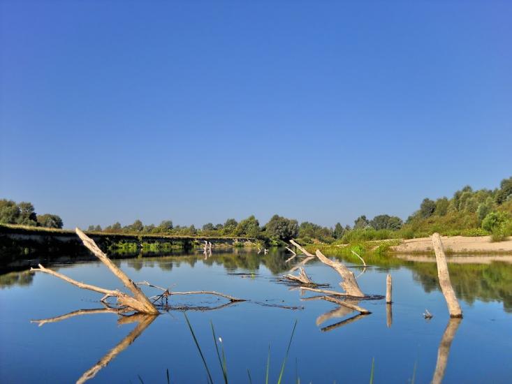 Осіч з panoramio.com - Осіч