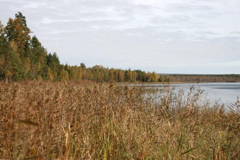 Жовтневе з panoramio.com - Жовтневе