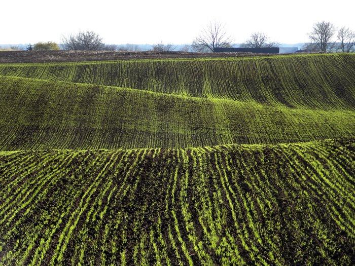 Корчів з panoramio.com - Корчів