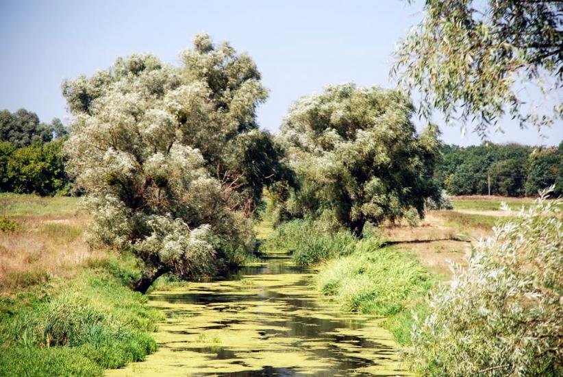 Думанці з panoramio.com - Думанцы