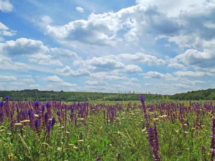 Казаринське з panoramio.com - Казаринське