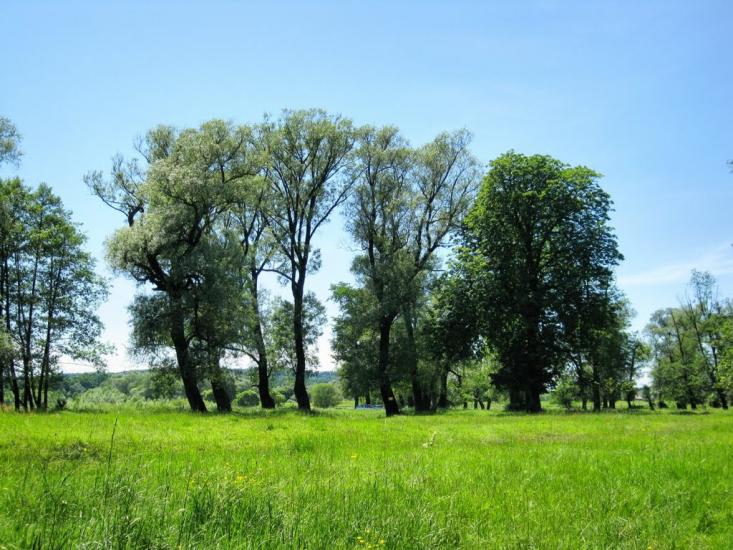 Панка з panoramio.com - Панка