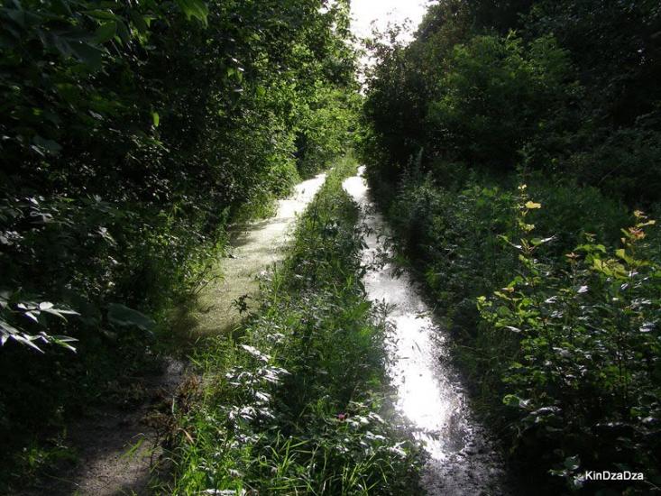 Сокільники з panoramio.com - Сокільники