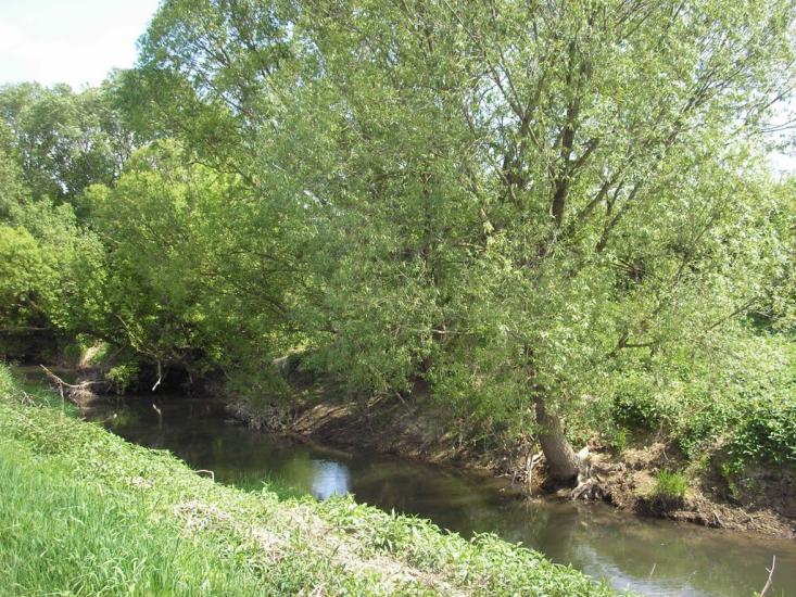 Сторожниця з panoramio.com - Сторожниця
