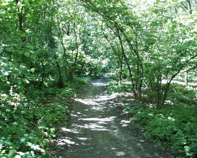 Моначинівка з panoramio.com - Monachynivka