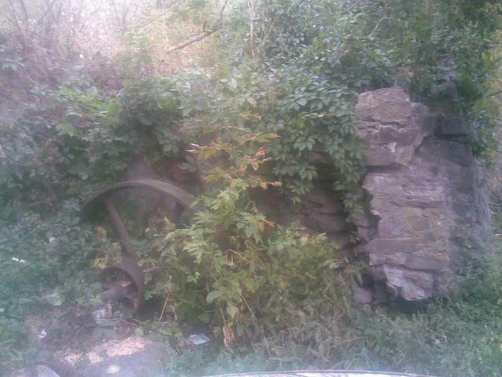 Веселий Кут з panoramio.com - Веселый Кут