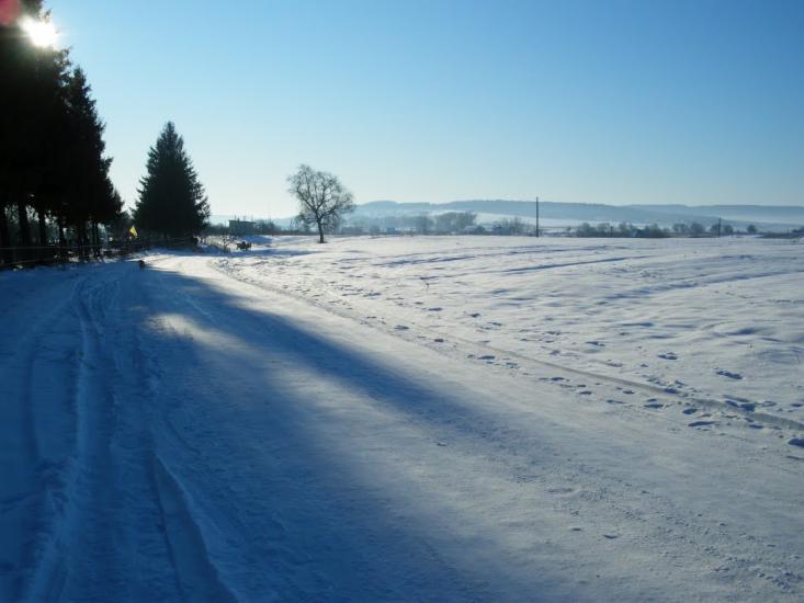 Підсоснів з panoramio.com - Pidsosniv