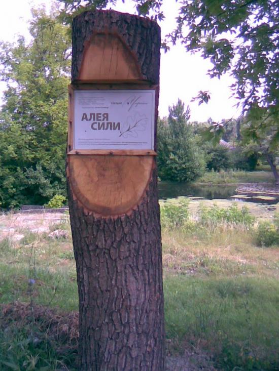 Біловодськ з panoramio.com - Біловодськ