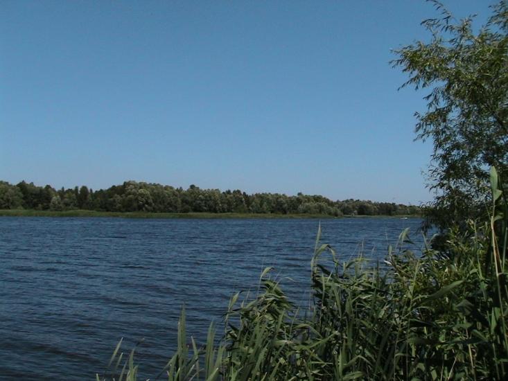 Прохорів з panoramio.com - Прохоров