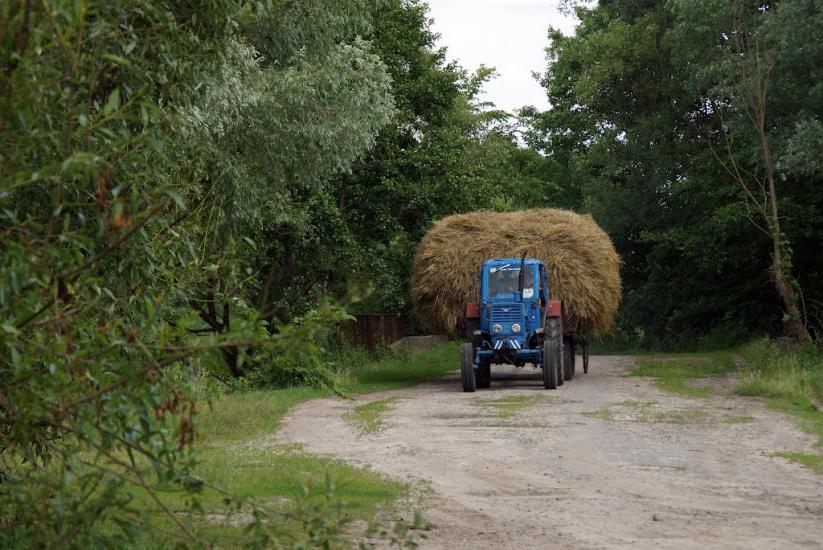 Рейментарівка з panoramio.com - Рейментаровка