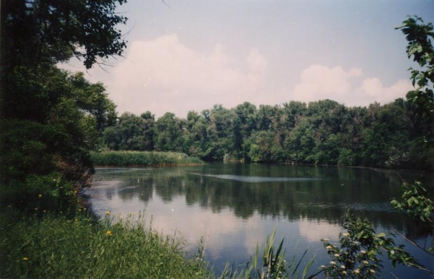Марганець з panoramio.com - Marganets