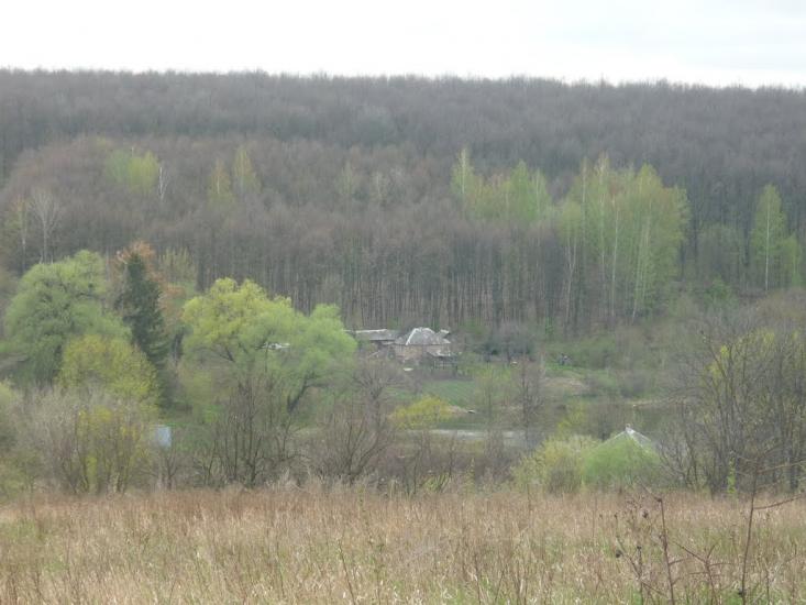 В'язове з panoramio.com - В'язове