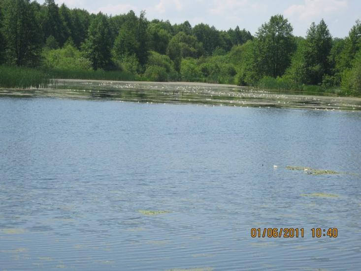 Короп з panoramio.com - Короп
