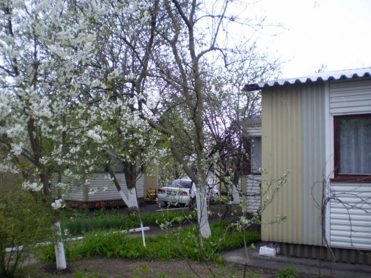 Лохвиця з panoramio.com - Лохвиця