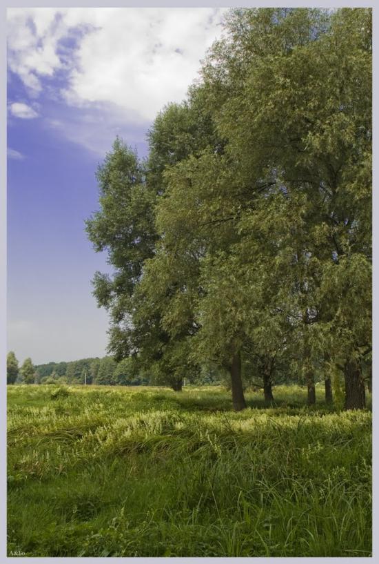 Деменці з panoramio.com - Деменці