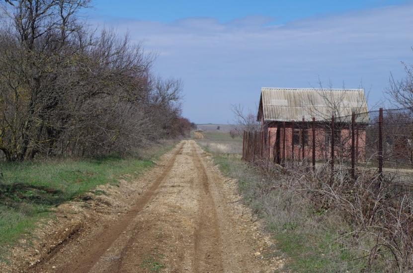 Новозбур'ївка з panoramio.com - Новозбур'ївка
