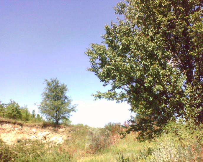 Павлопіль з panoramio.com - Павлопіль