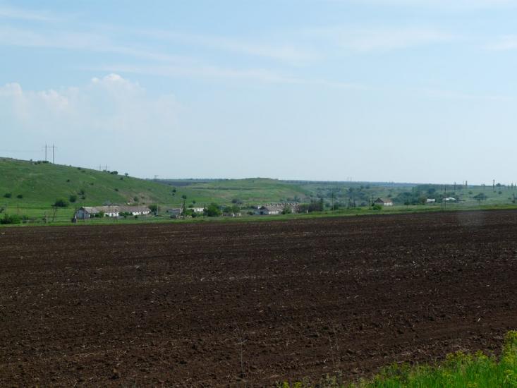 Новокатеринівка з panoramio.com - Новокатеринівка