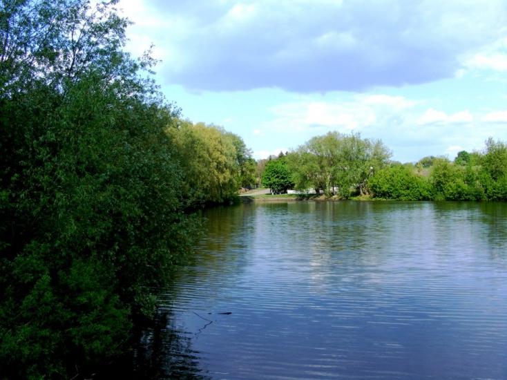 Вороне з panoramio.com - Вороное