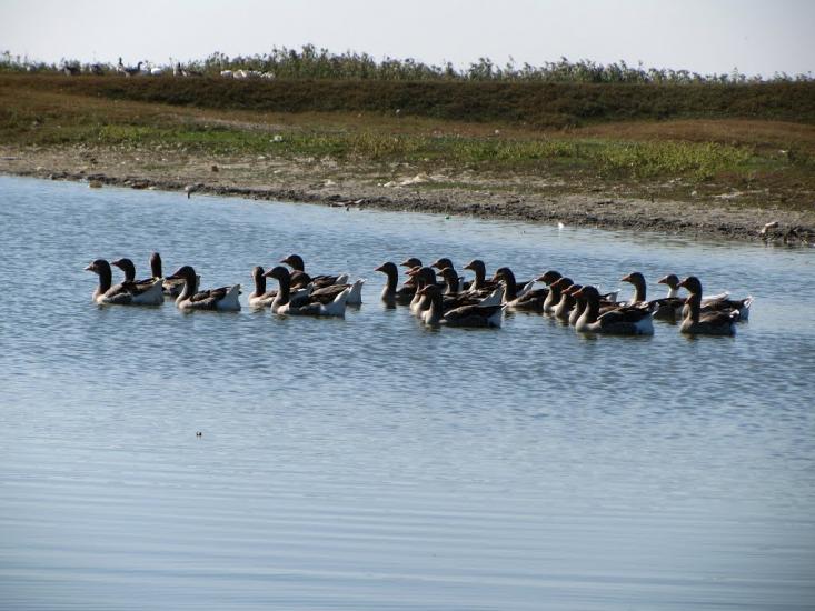 Багате з panoramio.com - Богатое