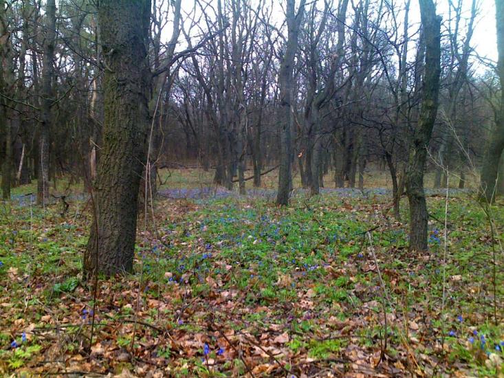 Кочережки з panoramio.com - Кочережки